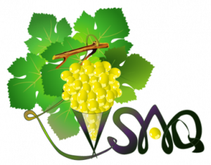 Logo VSAQ
