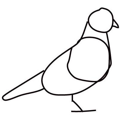logo-pigeonespressobar