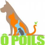 O poils café canin